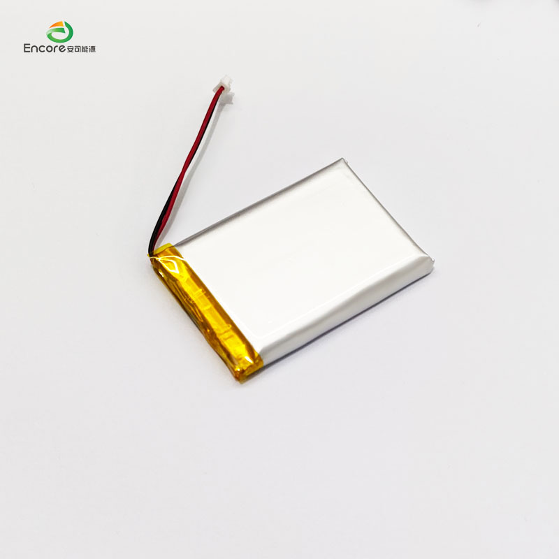 1000mah 3.7v battery
