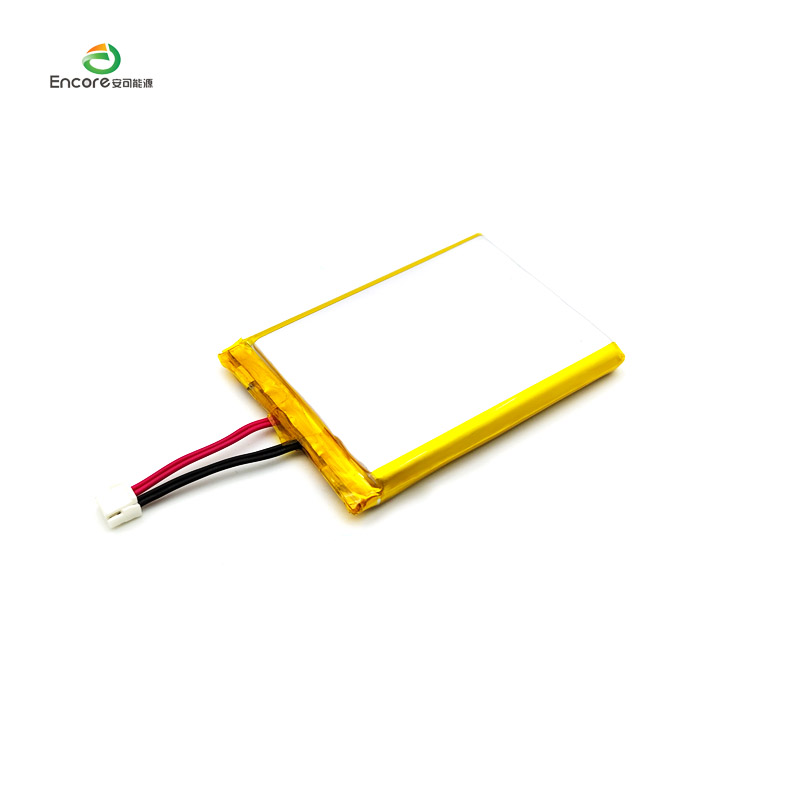 3000mAh Rechargeable Battery for Electronic