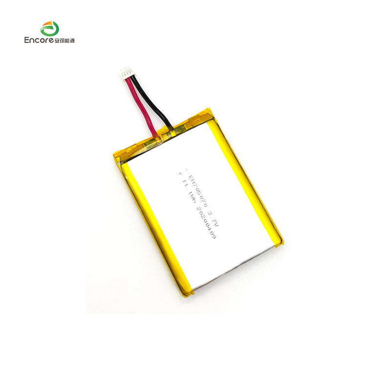 3000mAh Rechargeable Battery for Electronic