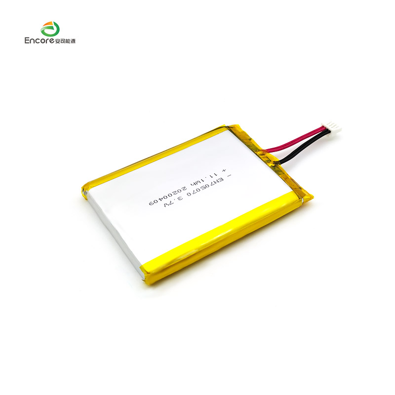 3000mAh Rechargeable Battery for Electronic
